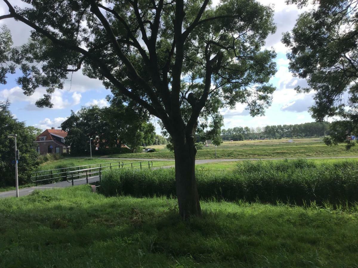 Pension Buitenzicht Geervliet ภายนอก รูปภาพ