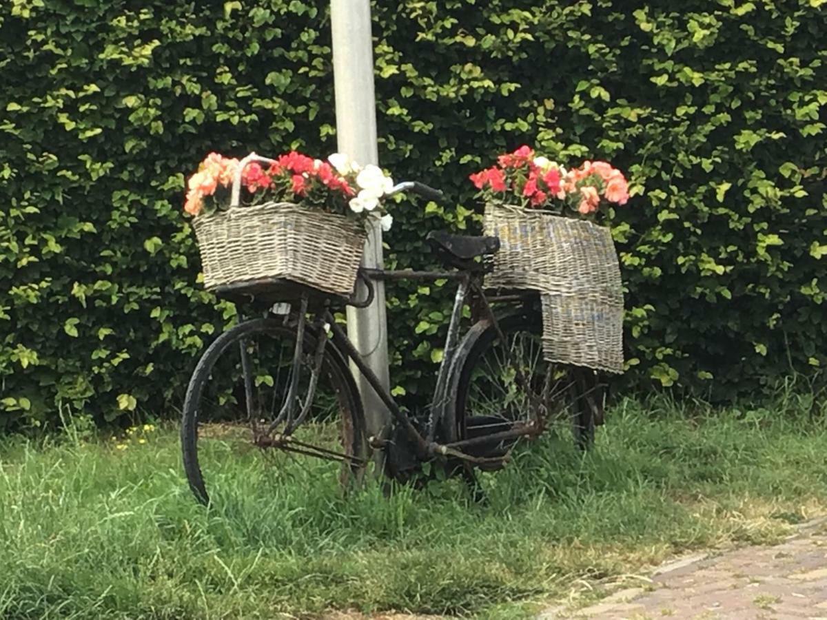 Pension Buitenzicht Geervliet ภายนอก รูปภาพ